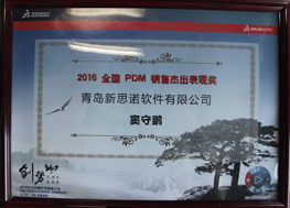 2015 全国PDM销售杰出表现奖